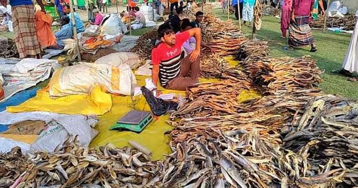 ঐতিহ্য হারাচ্ছে নাসিরনগরের শুঁটকি মেলা