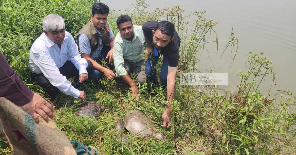 পাচারকারীর হাত থেকে বেঁচে ঠাঁই হলো গোমতীতে