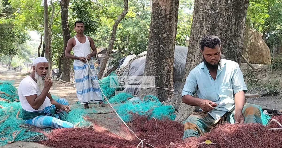 শেষ হচ্ছে নিষেধাজ্ঞা, ইলিশ ধরতে প্রস্তুত জেলেরা