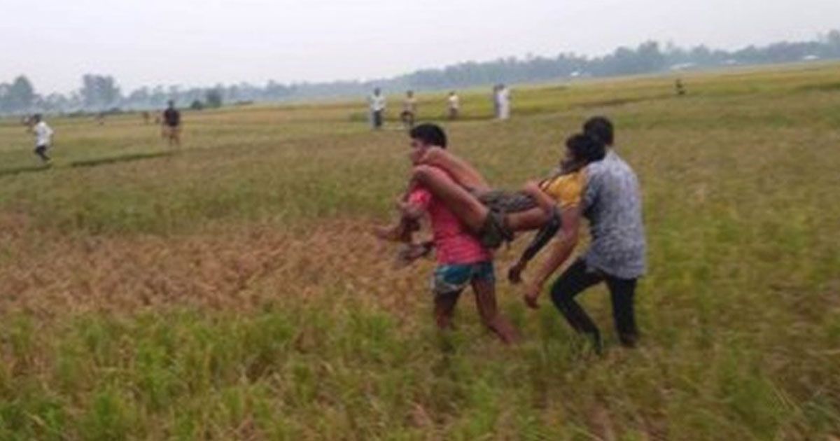 শেরপুরে হাতি তাড়াতে গিয়ে প্রাণ গেল কৃষকের