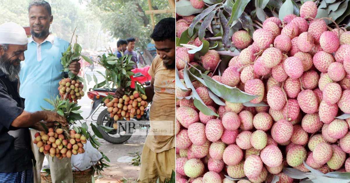 অপরিপক্ব লিচুতে স্বাস্থ্যঝুঁকি