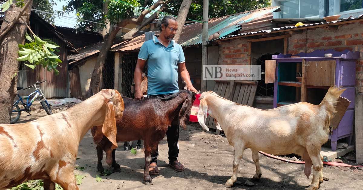 ছাগলের ওজন ৮৯ কেজি, রেকর্ড বইয়ে নাম লেখাতে চান মালিক