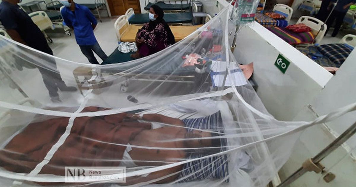 Dengue-95-people-in-hospital-in-one-day