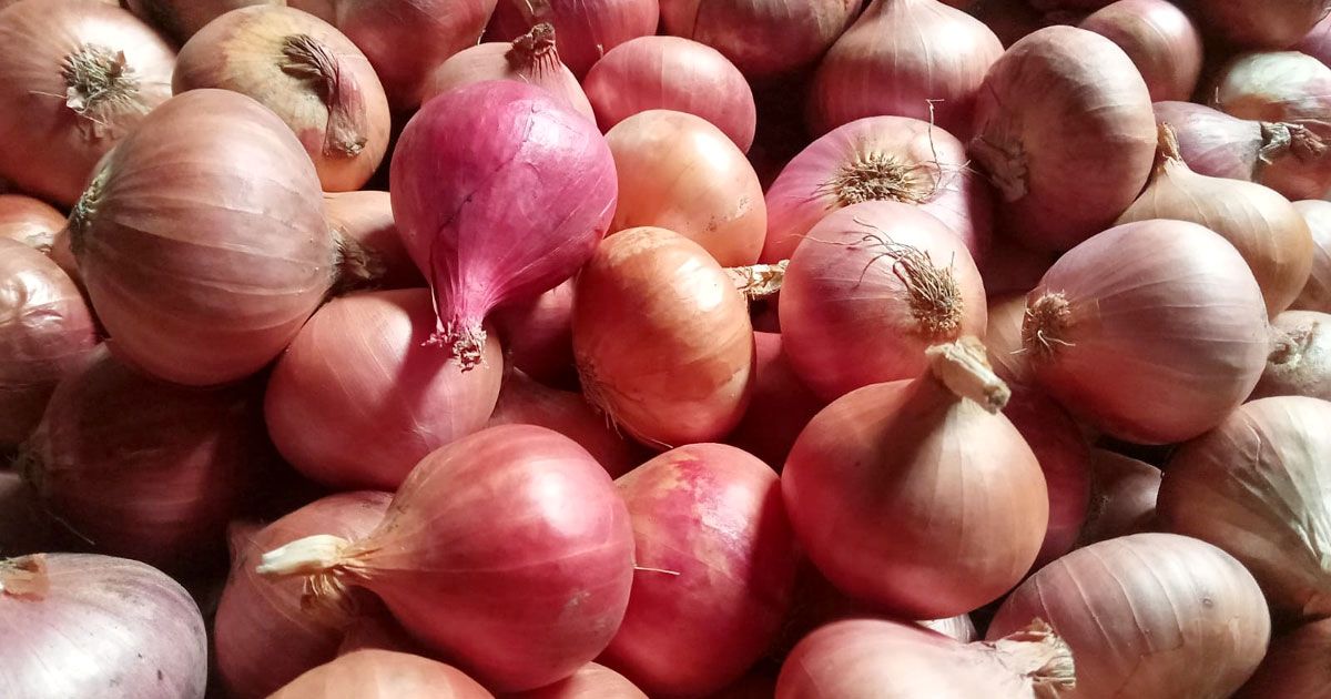 Onion-groves-are-shrinking-the-foreheads-of-the-hoarders-are-sweating