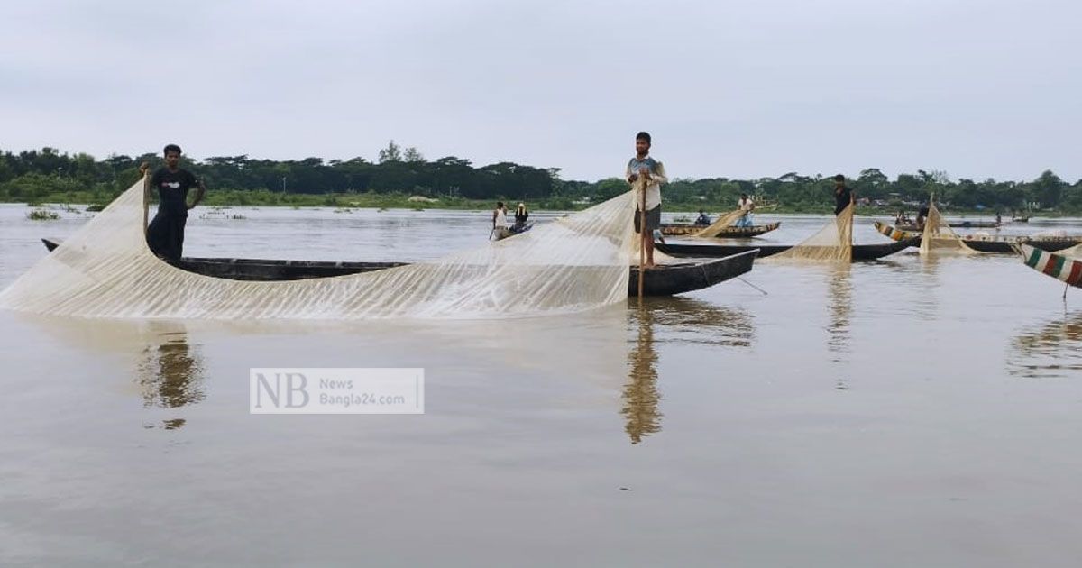 হালদায় ফের নমুনা ডিম, অপেক্ষায় জেলেরা