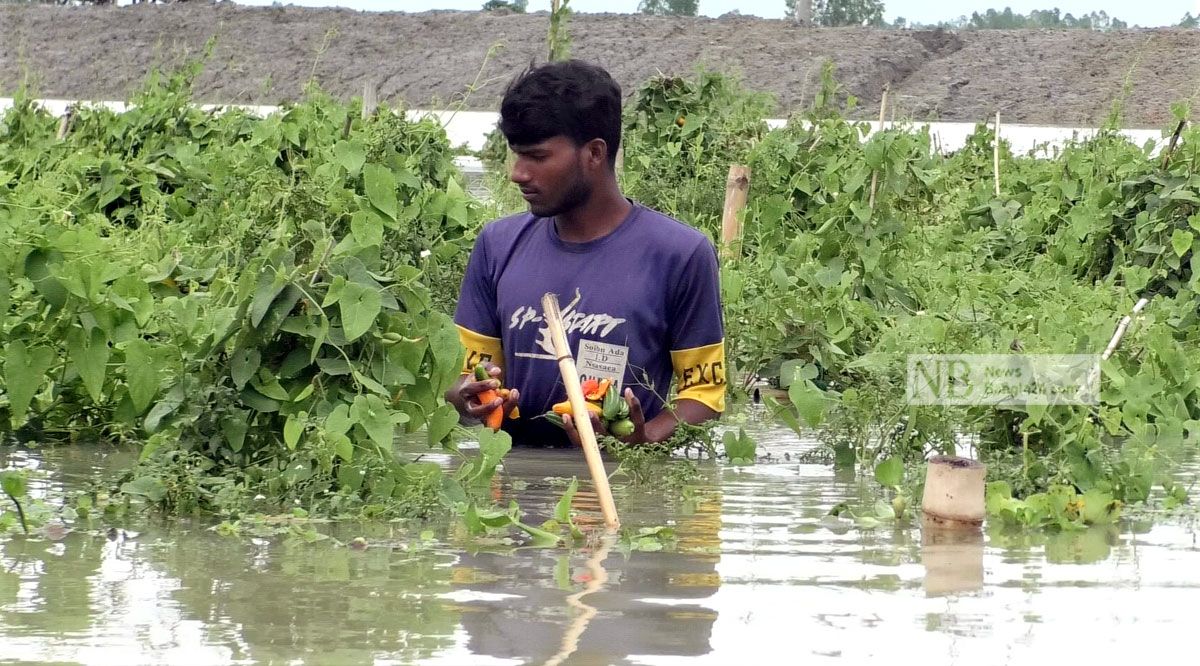 কুড়িগ্রামে দুধকুমারের বাঁধ ভেঙে ডুবছে গ্রামের পর গ্রাম