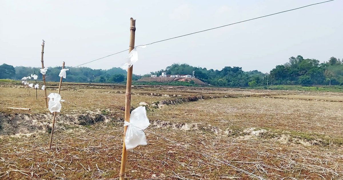 বন্যহাতি তাড়াতে অবৈধ বৈদ্যুতিক ফাঁদ, প্রাণ গেল কৃষকের