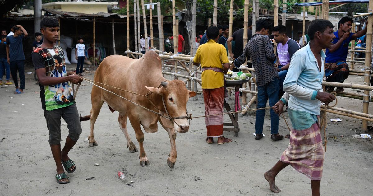 পশুতে ভরে উঠছে রাজধানীর কোরবানির হাট