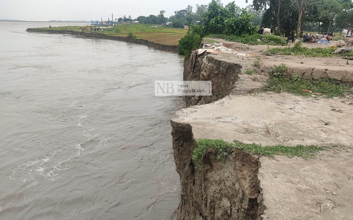 আগ্রাসী হয়ে উঠছে যমুনা, বিলীন হচ্ছে বাড়িঘর