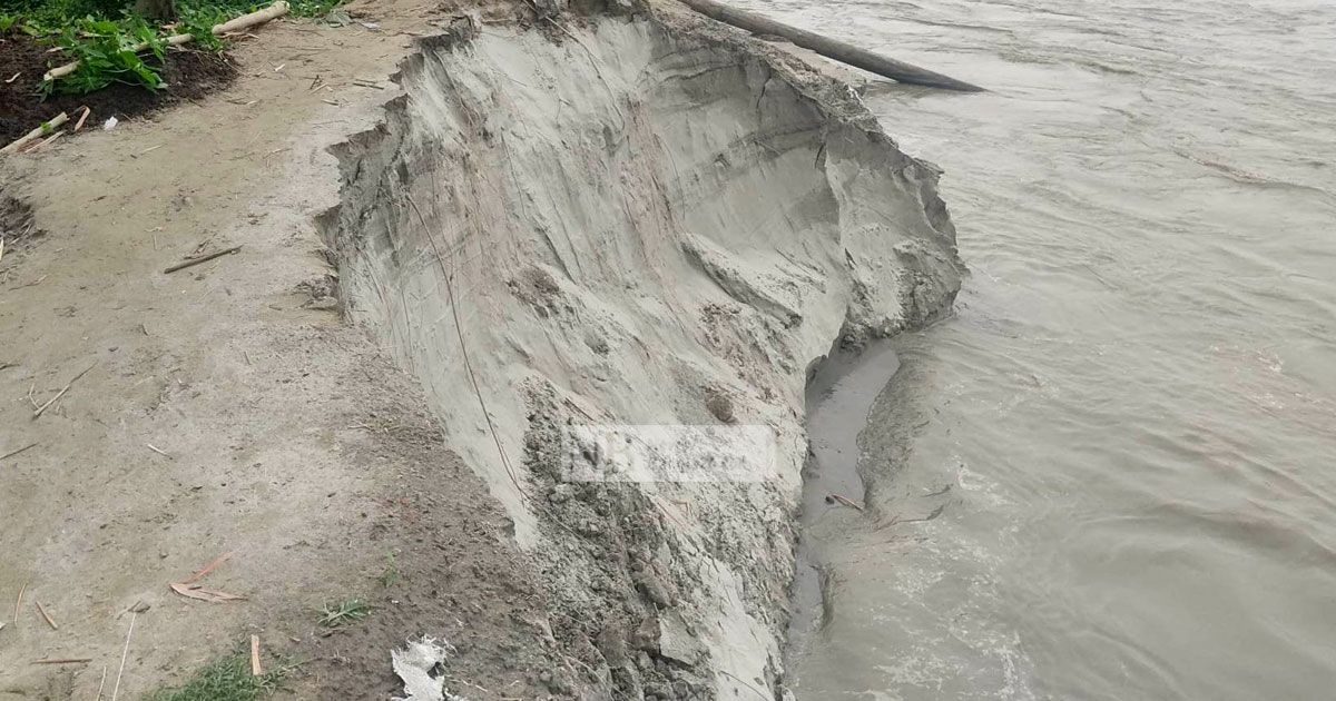 আগ্রাসী হয়ে উঠছে যমুনা, বিলীন হচ্ছে বাড়িঘর
