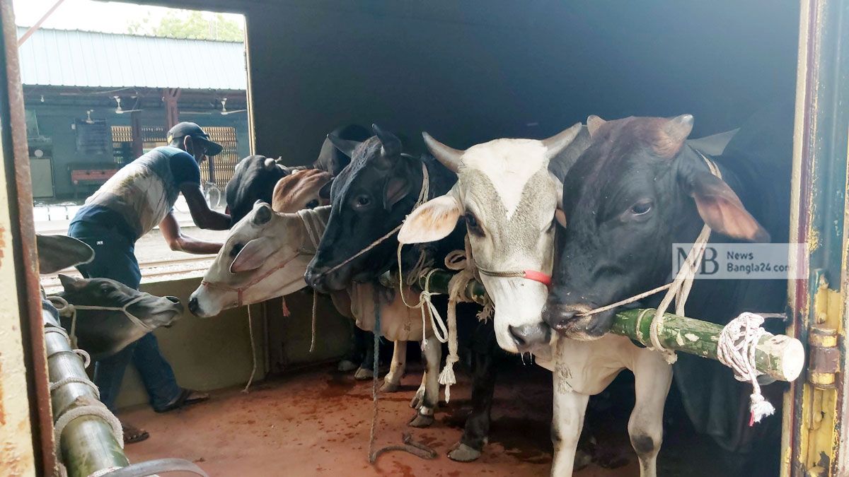 কোরবানির পশুর ট্রেনযাত্রা শুরু