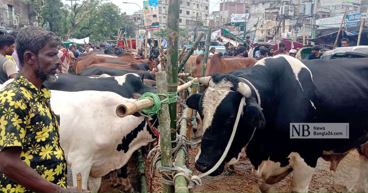 বৃষ্টি আর চড়া দাম সত্ত্বেও হাটে ক্রেতার ঢল