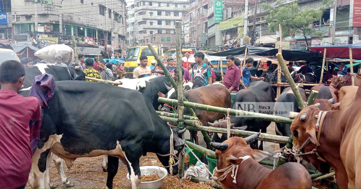 বৃষ্টি আর চড়া দাম সত্ত্বেও হাটে ক্রেতার ঢল