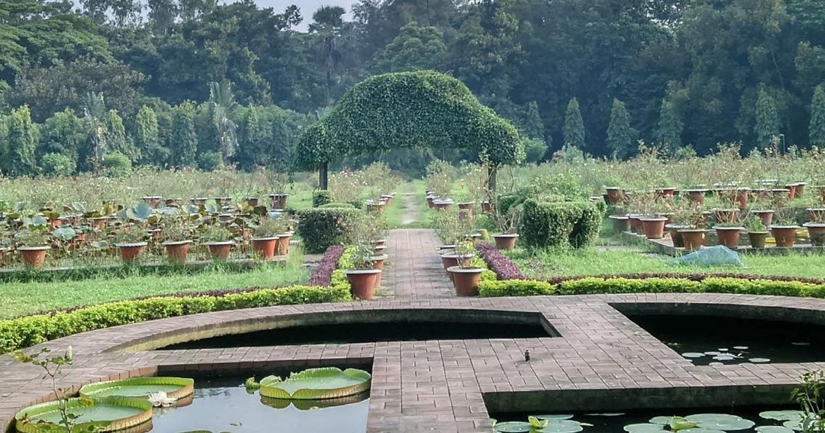 বোটানিক্যাল-গার্ডেনের-লেকে-ডুবে-তরুণের-মৃত্যু