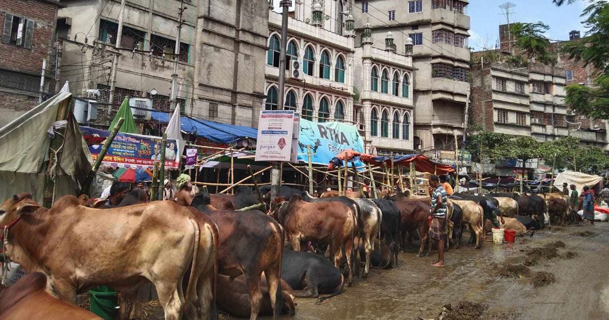 সড়ক ইজারা নিয়ে পশুর হাট, ভোগান্তি যানজটে