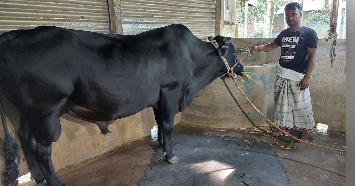 ‘কালু মামাকে’ বিক্রি করে খরচই ওঠাতে পারেননি দাবি বাহাদুরের 