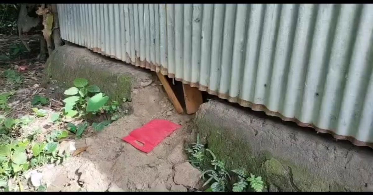 ঘরে-সিঁদ-কেটে-অটোরিকশার-চালককে-হত্যা