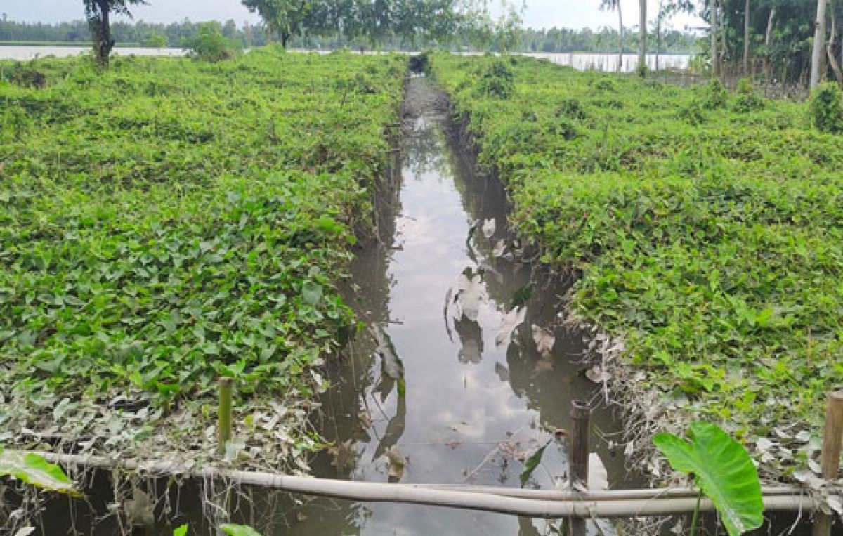 কুড়িগ্রামে বন্যা পরিস্থিতির উন্নতি হলেও ভোগান্তিতে জনসাধারণ