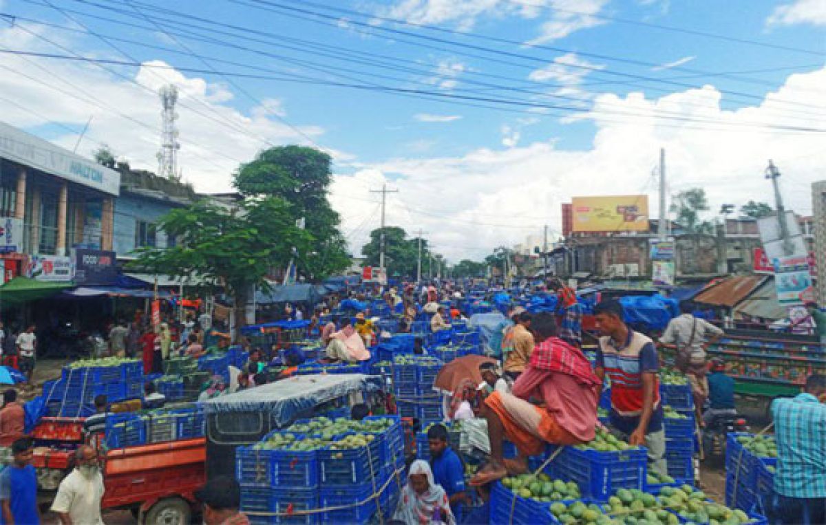 নওগাঁর আম্রপালির প্রচার-প্রসারের দাবি 