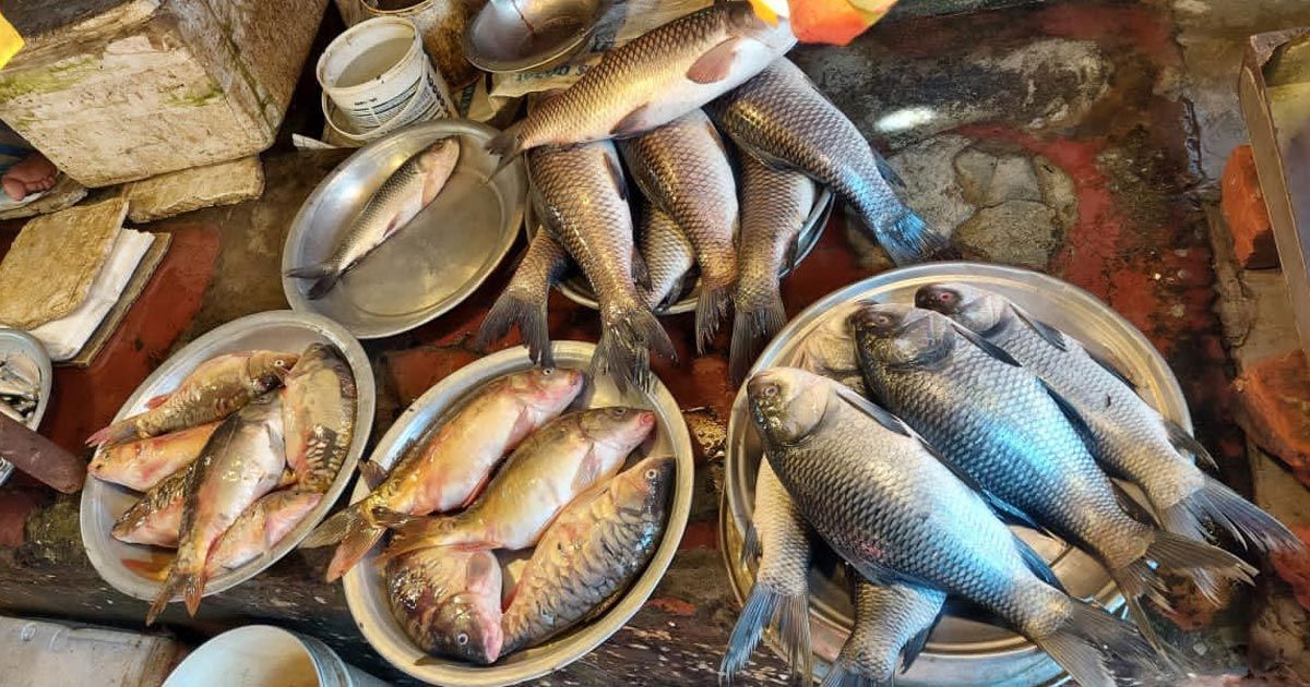 রুই-কাতলের-দামে-মাথায়-হাত-ক্রেতাদের-