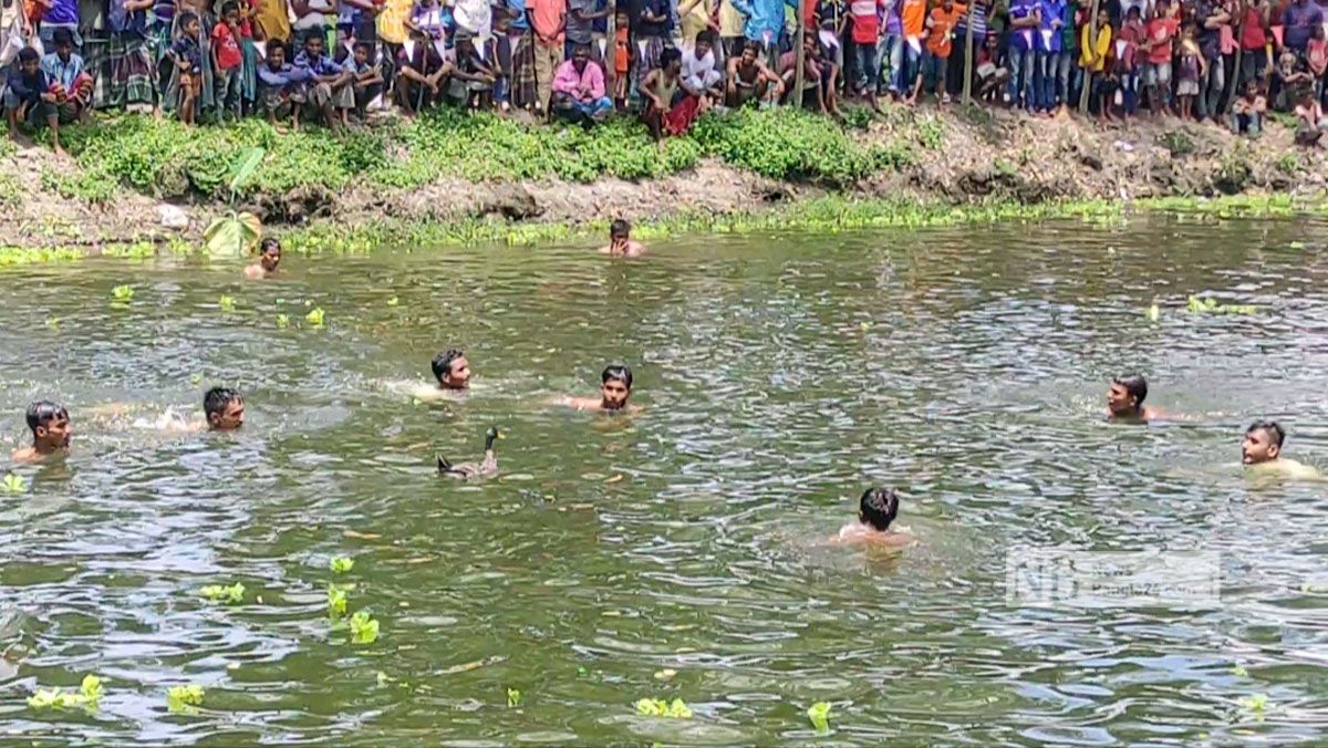 হাঁস ধরা প্রতিযোগিতা দেখতে গিয়ে হেসে খুন জনতা
