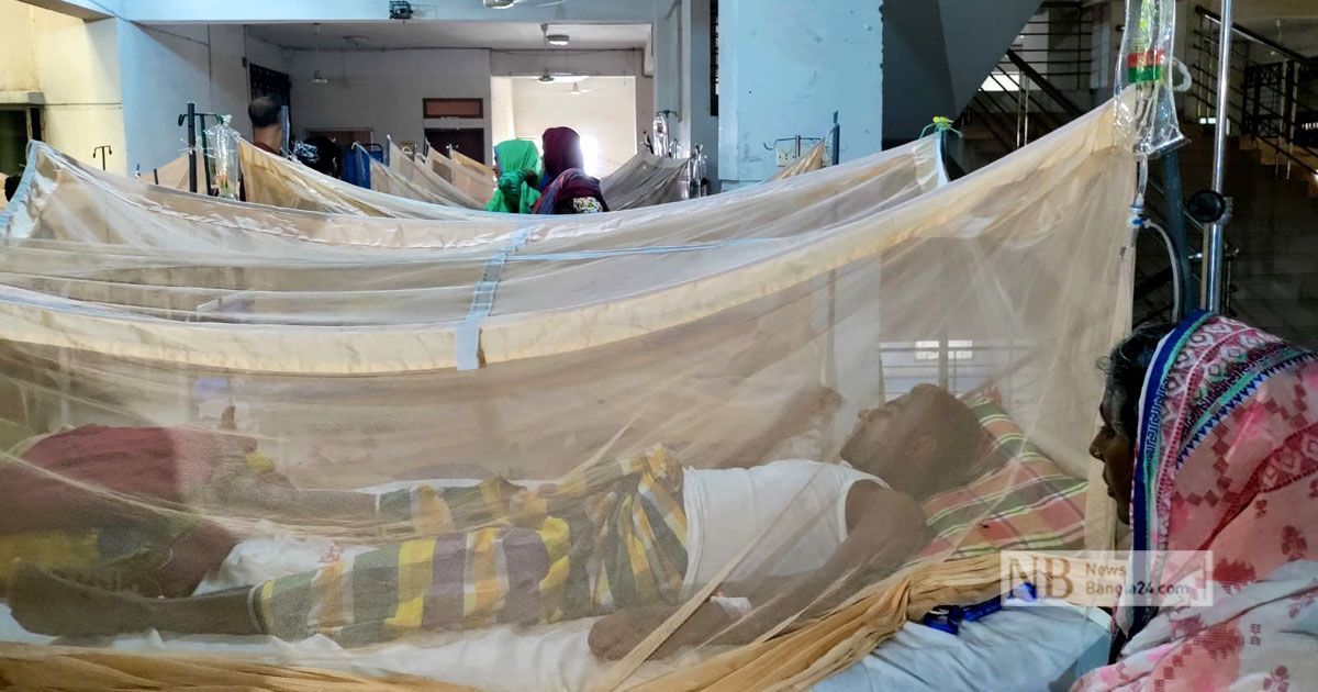দেশে-ডেঙ্গুতে-আরও-১০-মৃত্যু-হাসপাতালে-২৪৯৫