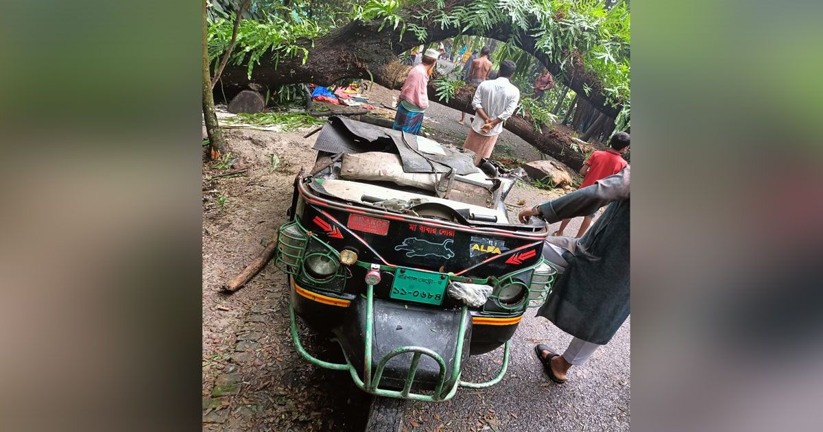 প্রবল-বর্ষণ-বরিশালে-গাছ-উপড়ে-থ্রি-হুইলারে-প্রাণ-গেল-মাদ্রাসা-শিক্ষকের