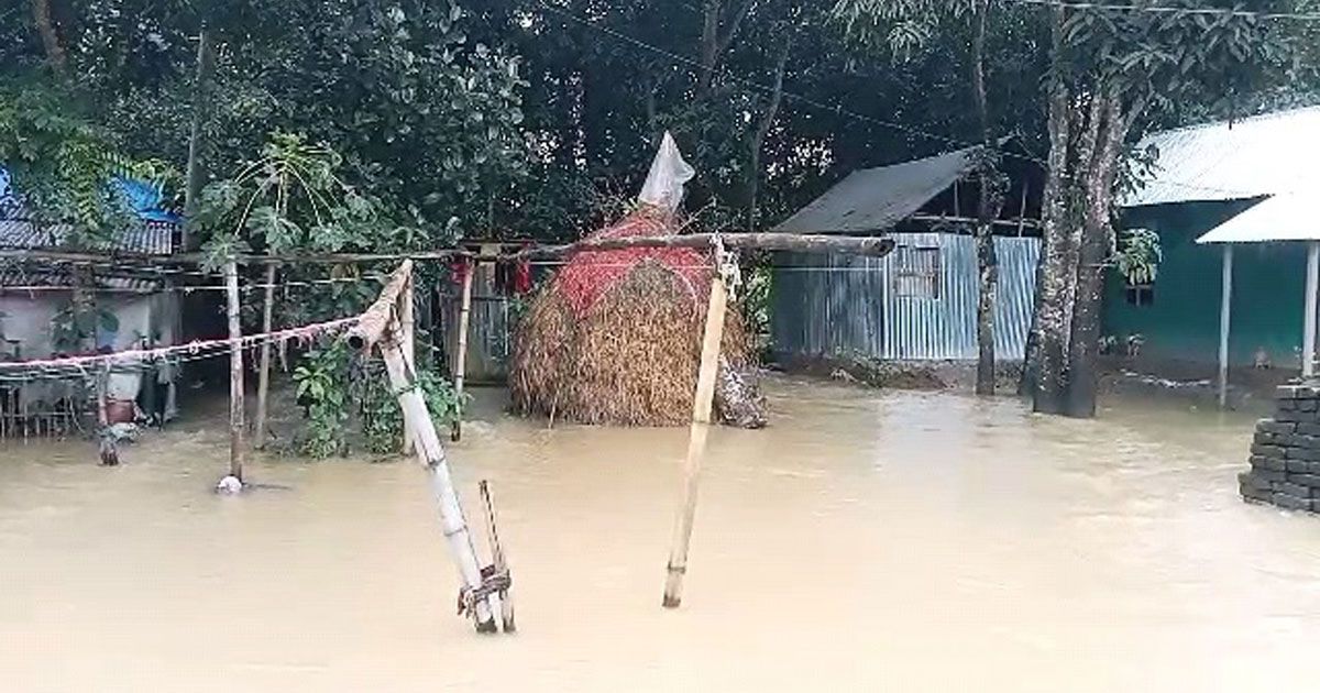 ঘরে-বাইরে পানি, অসহায় ফেনীর ২০ গ্রামের মানুষ