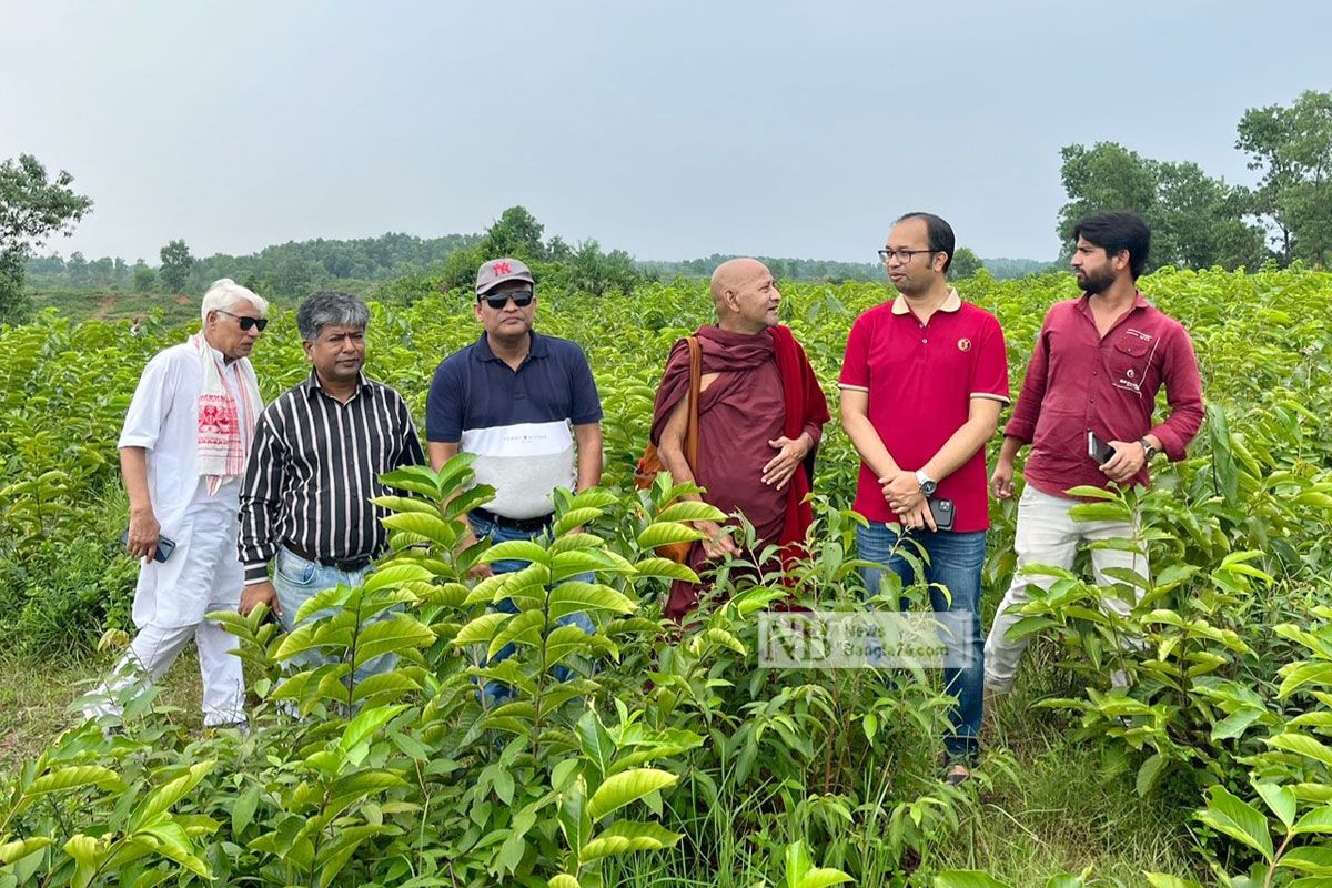 ইতিহাস থেকে ফিরে আসার অপেক্ষায় পণ্ডিত বিহার বিশ্ববিদ্যালয়