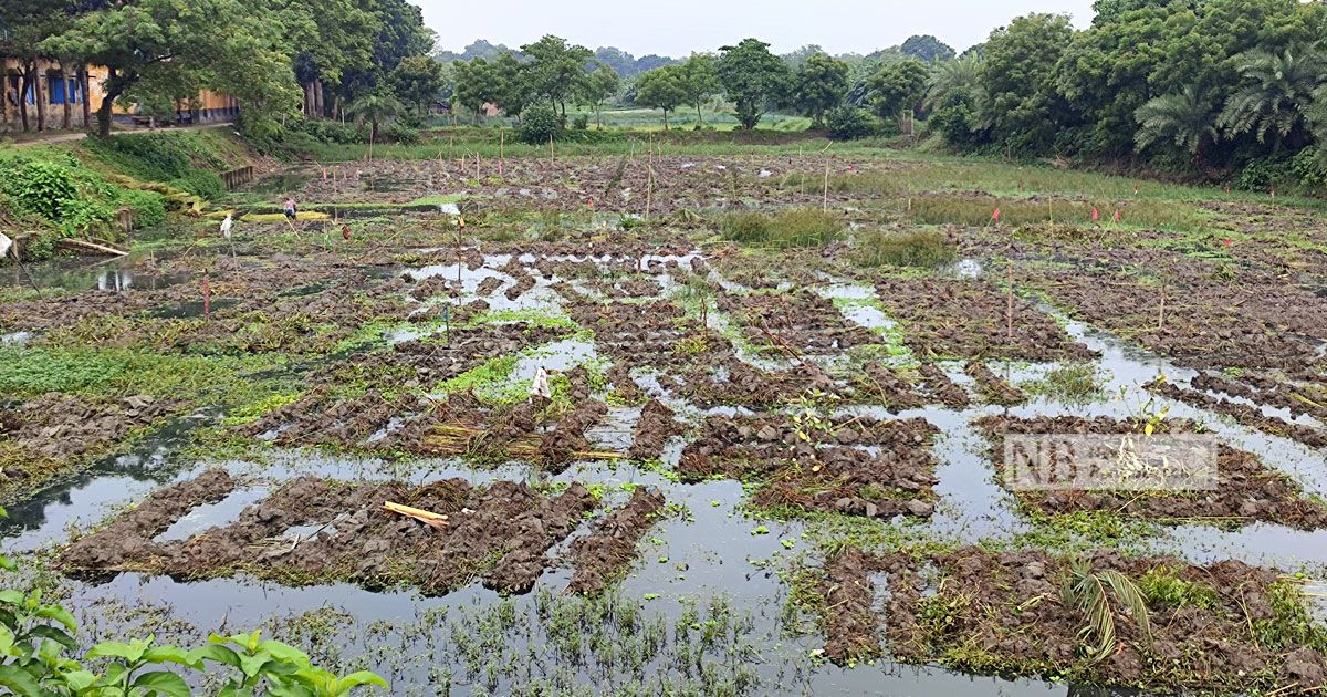 পাট জাগের জন‍্য পুকুর ভাড়া, জমাট ব‍্যবসা