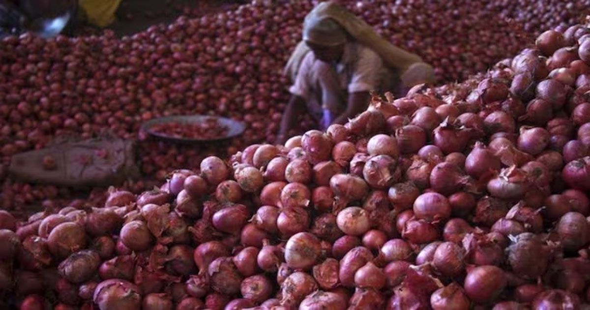 আরও-৯-দেশ-থেকে-পেঁয়াজ-আমদানির-অনুমতি