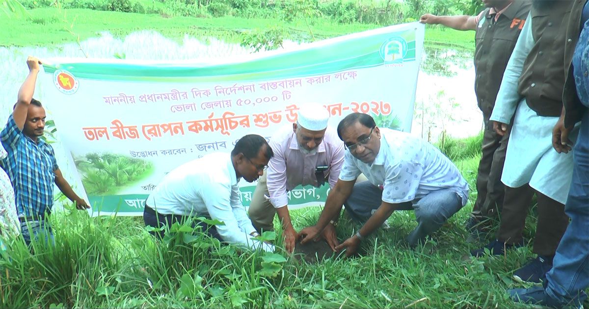 বজ্রপাত ঠেকাতে আরও ৫০ হাজার তালবীজ লাগানো হবে ভোলায়