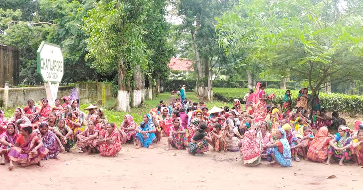 নারী-চা-শ্রমিকেরা-আবারও-আন্দোলনে