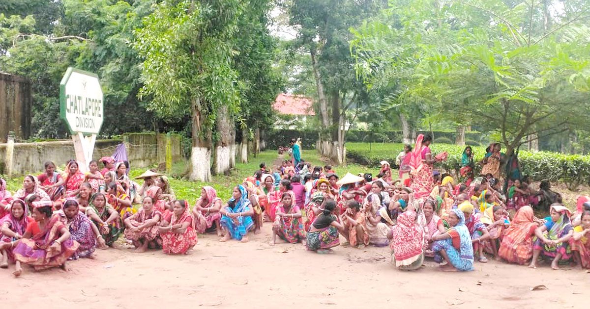 নারী চা শ্রমিকেরা আবারও আন্দোলনে