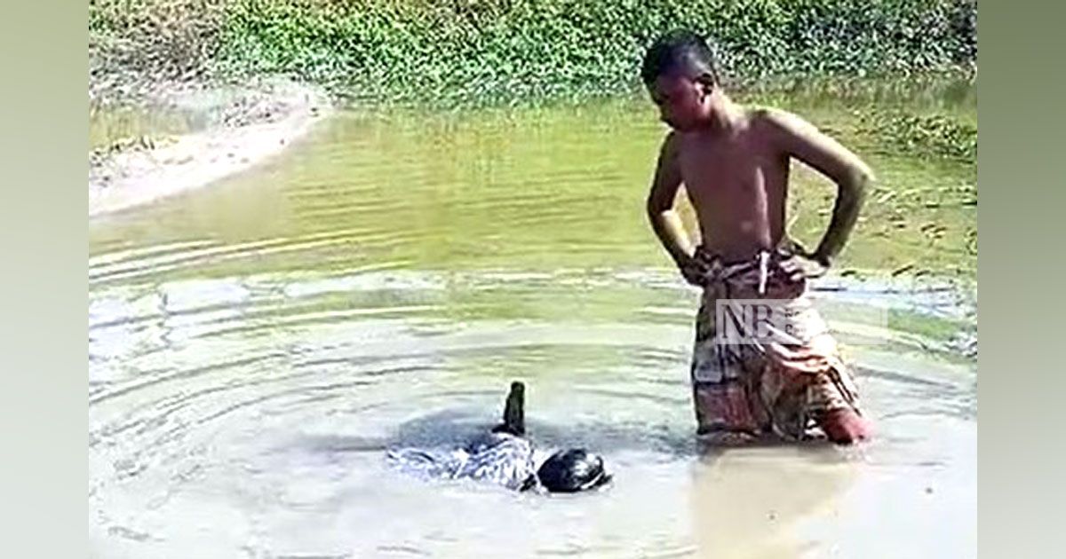 নির্যাতনের-ভিডিও-ভাইরাল-ছাত্রলীগ-নেতাসহ-৯-জনের-নামে-মামলা