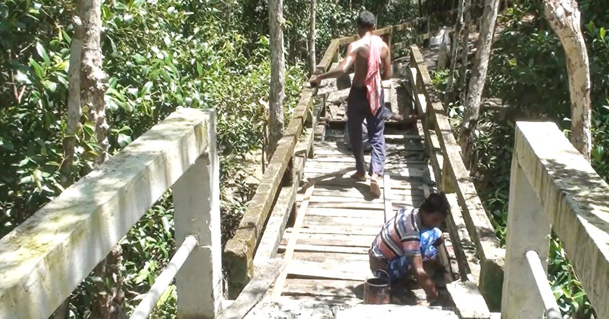 সুন্দরবনের দুয়ার খুলছে শুক্রবার