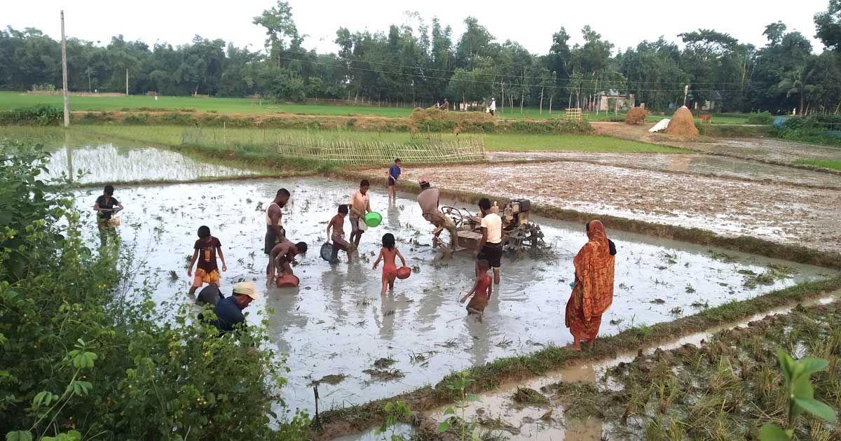 ভরা মৌসুমেও দেশি মাছের আকাল কমলগঞ্জে