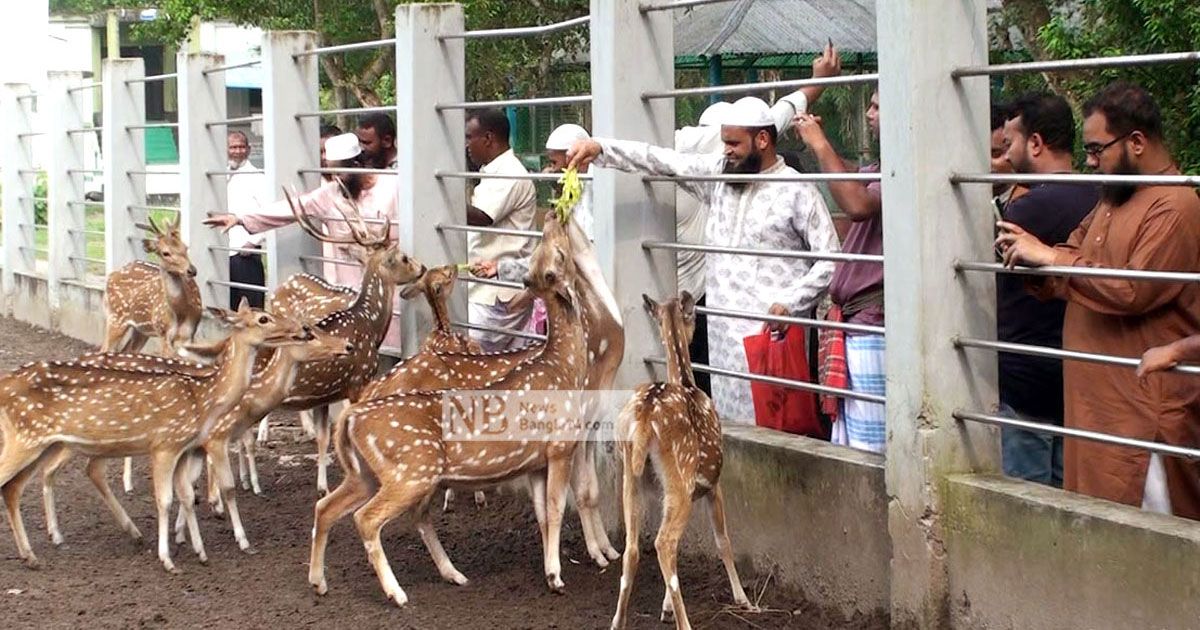 সুন্দরবন: প্রথম দিনই পর্যটকের ভিড়, আছে নানা অভিযোগ