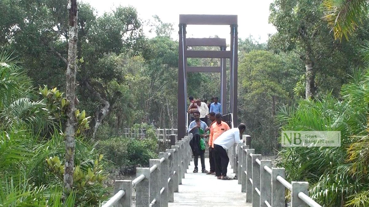 সুন্দরবন: প্রথম দিনই পর্যটকের ভিড়, আছে নানা অভিযোগ