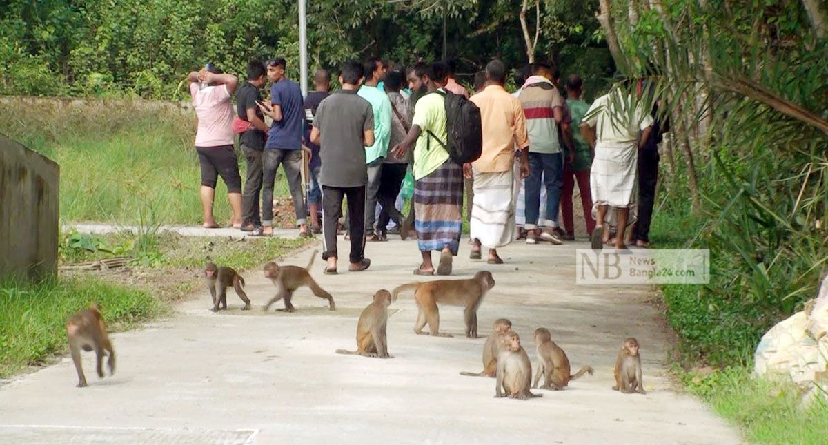 সুন্দরবন: প্রথম দিনই পর্যটকের ভিড়, আছে নানা অভিযোগ