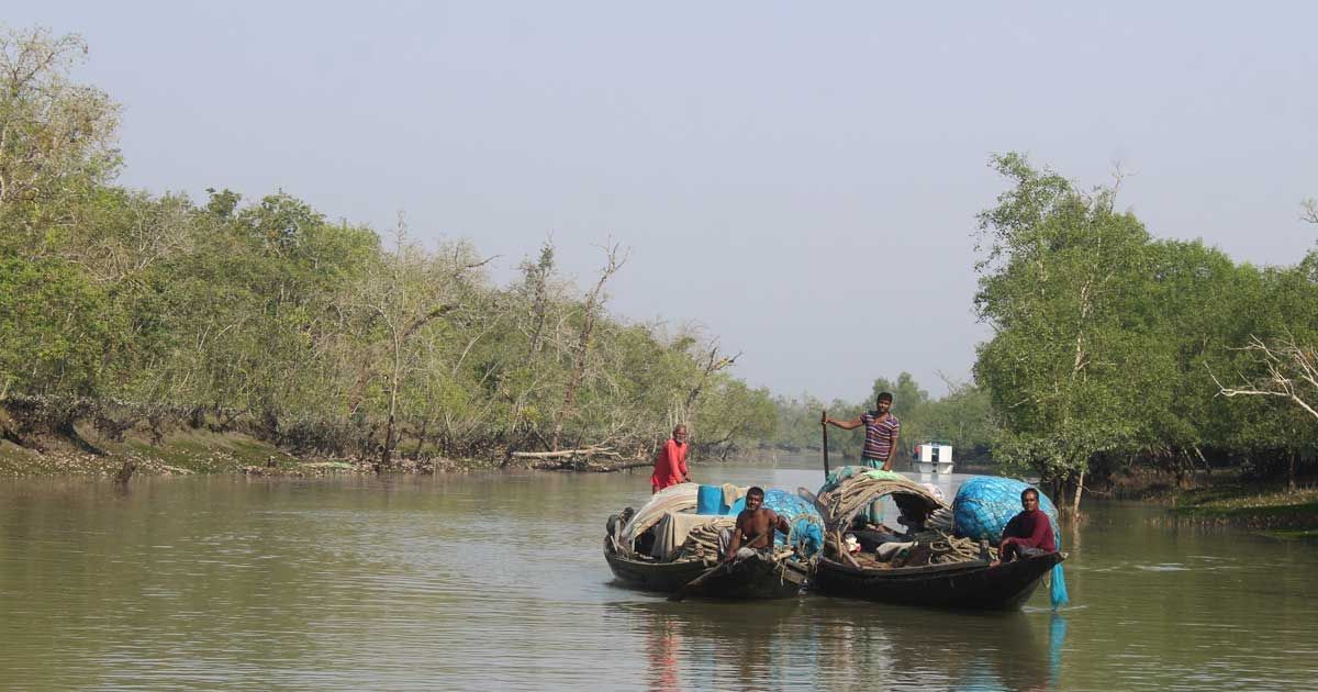 ৩ মাস পর খোলা হলো সুন্দরবন, প্লাস্টিক বন্ধে কড়াকড়ি 