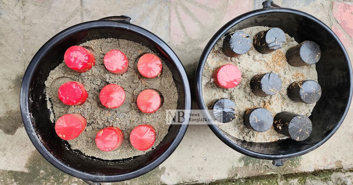 বেনাপোল-স্থলবন্দরে-১৮-ককটেল