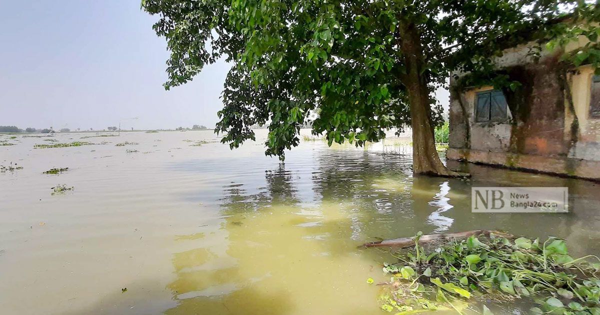 যমুনায় পানি বাড়ছেই, দুই জেলায় তলিয়েছে কয়েক শ’ গ্রাম