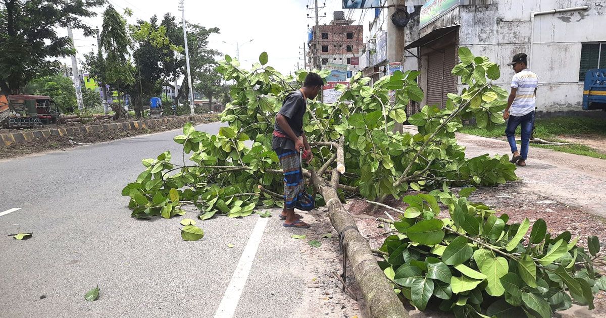 সড়ক বিভাজক বাঁচানোর নামে নির্বিচারে গাছ নিধন