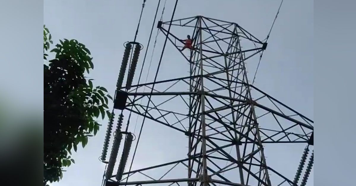 ৩৩-হাজার-ভোল্টের-বিদ্যুতের-টাওয়ারে-যুবক-২-ঘণ্টা-পর-উদ্ধার-