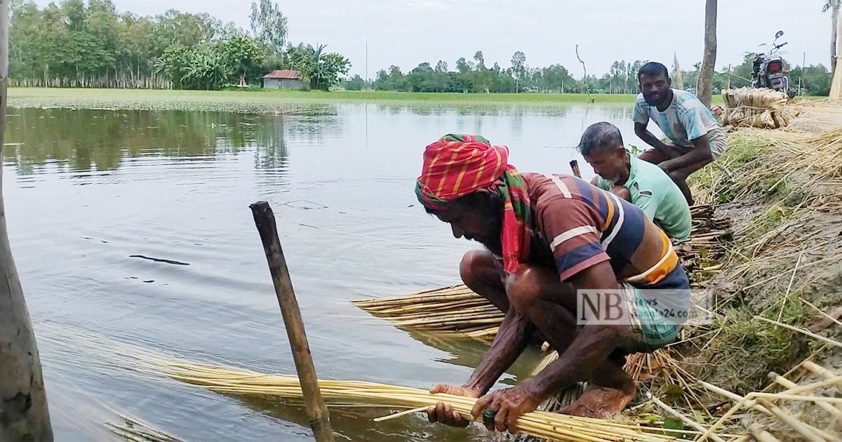 ‘পাট বেচে ইলিশ কেনার দিন আর আসবে না’