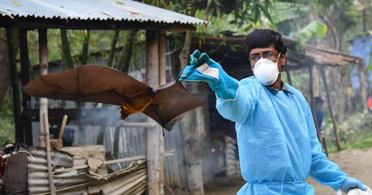 কেরালায় ‘বাংলাদেশি নিপাহ’, বলছে ভারত