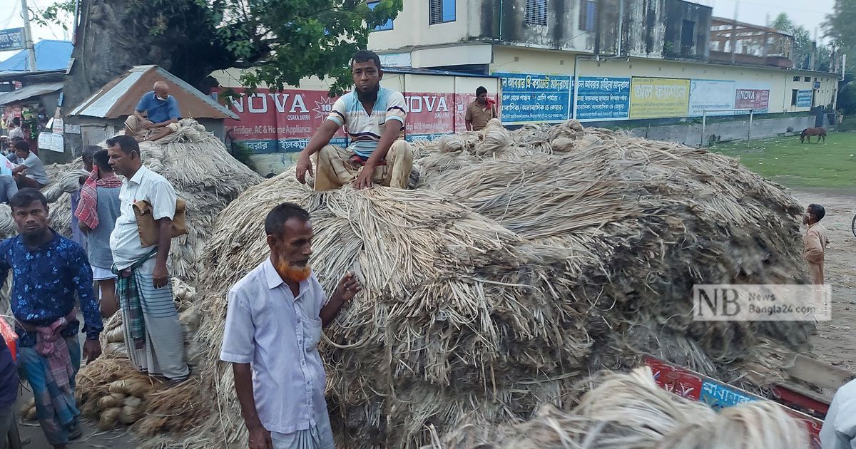 সোনালি আঁশের সুদিন নেই সিরাজগঞ্জে