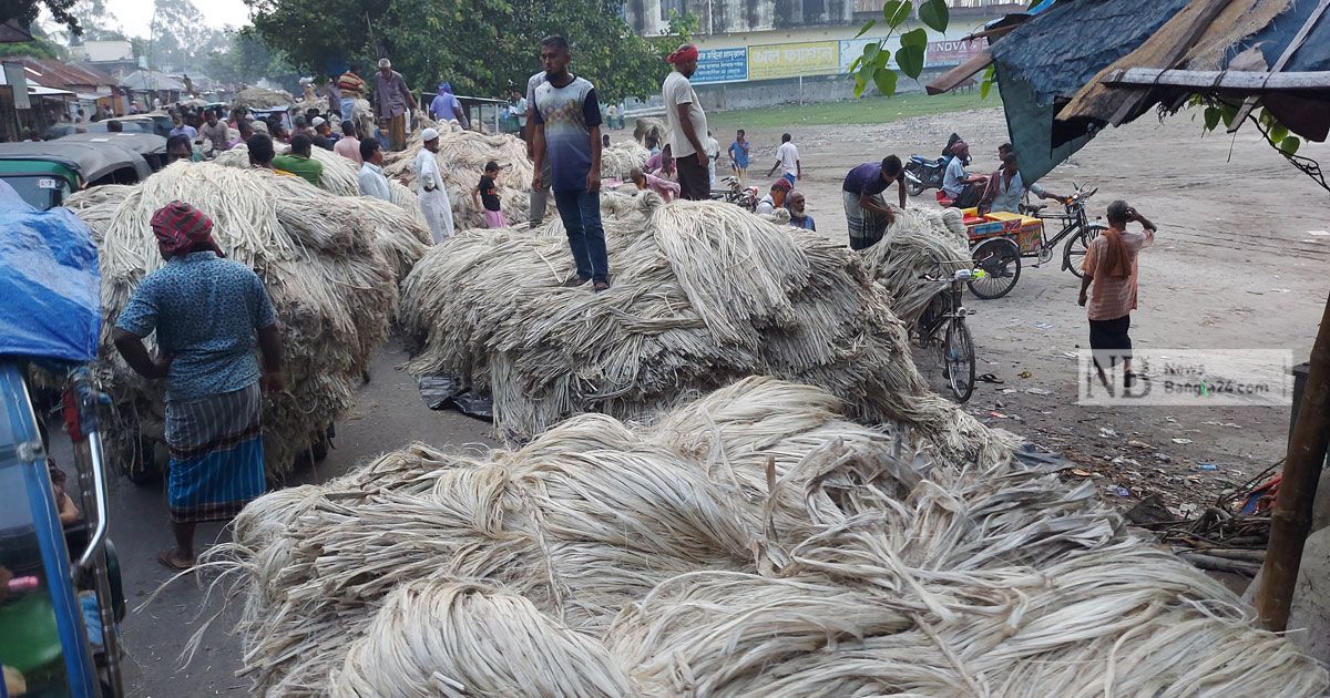 সোনালি আঁশের সুদিন নেই সিরাজগঞ্জে