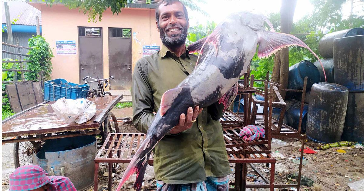 এক-বাঘাইড়-৩০-হাজারে-বিক্রি